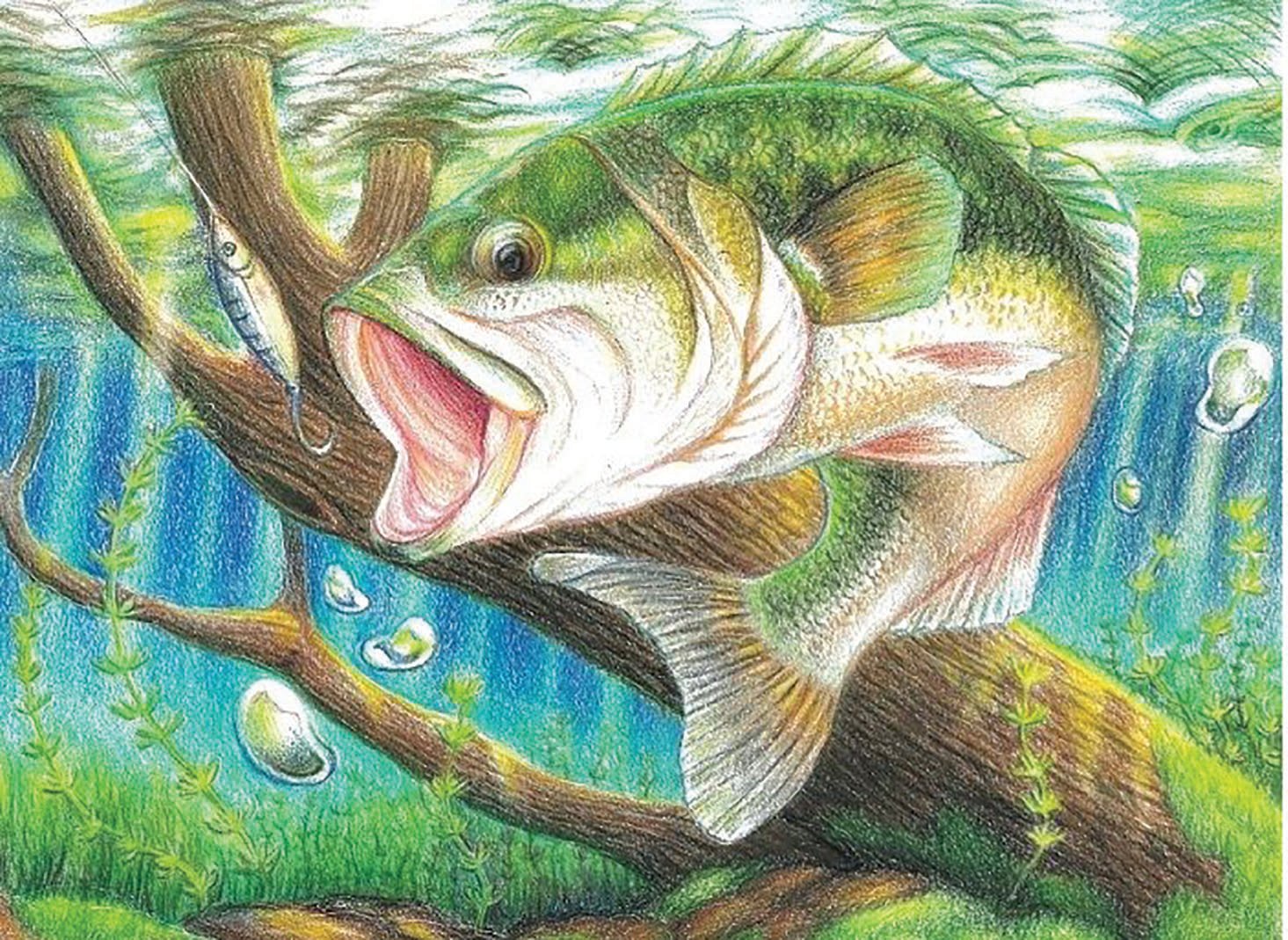 Students in kindergarten through 12th grade can compete in this free Florida State-Fish Art Contest. The deadline to enter is March 31, 2021.